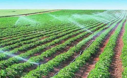 插逼流水视频农田高 效节水灌溉